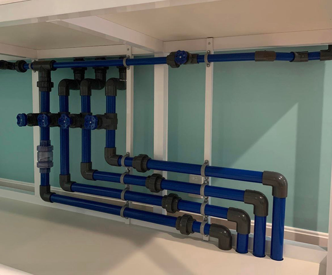 What Is Driptech Connect? A Smarter Way to Build Aquarium Systems