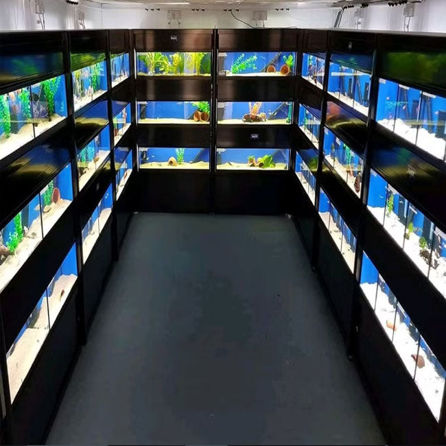 Aquarium Racking System 1200x500mm  (Shop Style)