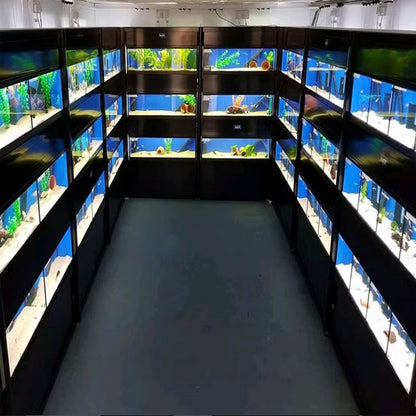 Aquarium Racking System 1200x500mm  (Shop Style)